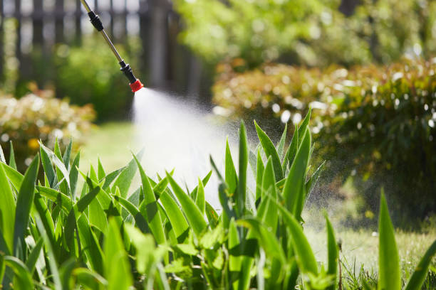 Tamper-Resistant Bait Stations for Rodents in Holly