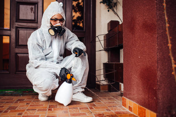 Attic and Crawl Space Rodent Treatment in Holly